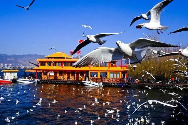 怒江美麗公路開(kāi)通，最美自駕線路出爐，歡迎來(lái)體驗(yàn)